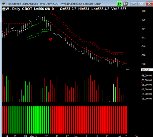 wheat daily